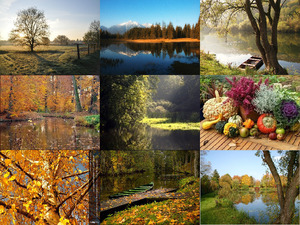 klicke hier, um die Datei herunterzuladen Herbstzauber