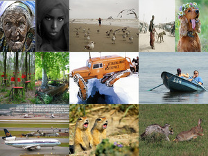 klicke hier, um die Datei herunterzuladen Cool pictures - zene- Bob Marley