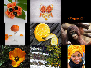 klicke hier, um die Datei herunterzuladen Orange 73