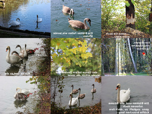 die Herbst-Idylle