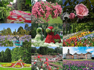 Fruehling Insel Mainau