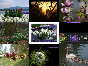 klicke hier, um die Datei herunterzuladen Frühling