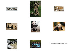 Panda-Kindergarten - echt drollig