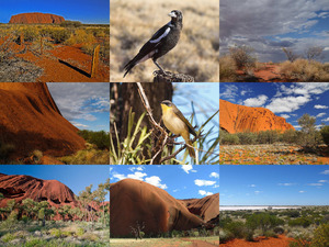 Uluru Ayers-Rock