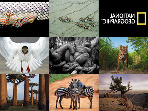 klicke hier, um die Datei herunterzuladen National Geographic Photos