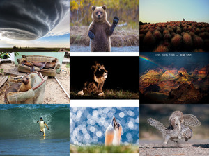 klicke hier, um die Datei herunterzuladen National Geographic best 2013-2014