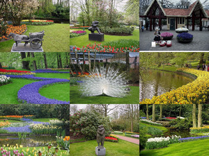 Keukenhof