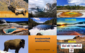 klicke hier, um die Datei herunterzuladen Nationalpark Yellowstone