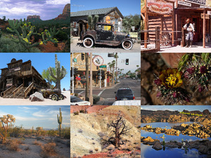 klicke hier, um die Datei herunterzuladen Arizona 2