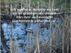 klicke hier, um die Datei herunterzuladen A220 Jesus sagt