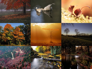 Herbst 4 - Traumhafte Bilder zum Herbst