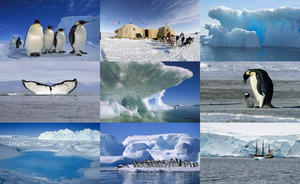 Beaute De L Antarctique