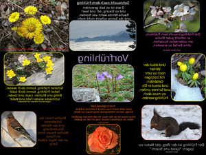klicke hier, um die Datei herunterzuladen Sehnsucht nach dem Frühling