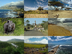 klicke hier, um die Datei herunterzuladen Afrika op z n mooist