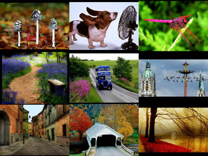 klicke hier, um die Datei herunterzuladen picture mixture 3 - Judy