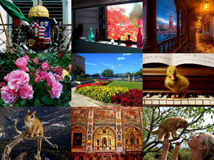 klicke hier, um die Datei herunterzuladen picture mixture 27