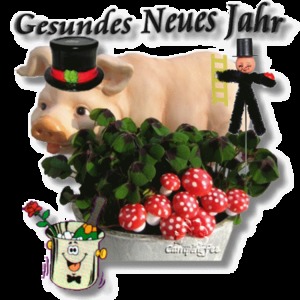 gesundes Neues Jahr