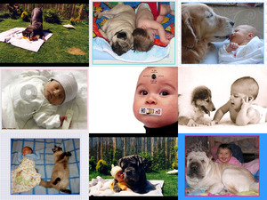 klicke hier, um die Datei herunterzuladen Babys