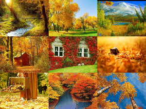 klicke hier, um die Datei herunterzuladen autumniscoming-120831024618-phpapp02