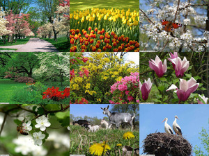 klicke hier, um die Datei herunterzuladen La nature