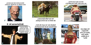 klicke hier, um die Datei herunterzuladen Knittelverse Nr 9