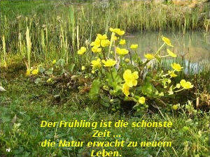 klicke hier, um die Datei herunterzuladen A219 Jesus sagt