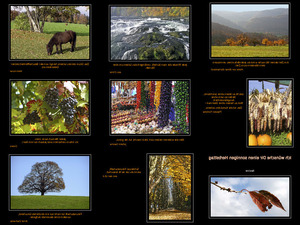 klicke hier, um die Datei herunterzuladen Herbstfarben