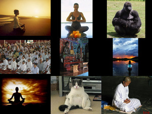 klicke hier, um die Datei herunterzuladen meditation
