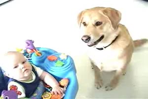 Hunde Kinder Pierrina 5 11 MB