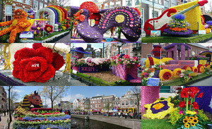 Blumenparade in Haarlem