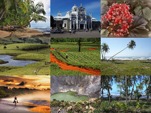 klicke hier, um die Datei herunterzuladen Costa Rica 3