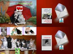 klicke hier, um die Datei herunterzuladen Katzen Romantik mit Glueck E
