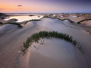 klicke hier, um die Datei herunterzuladen Planet Erde - Teil 2