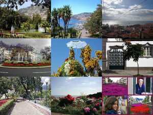 Funchal, die Hauptstadt von Madeira