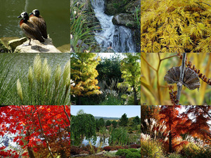 klicke hier, um die Datei herunterzuladen Herfst-in-Mondo-Verde-1