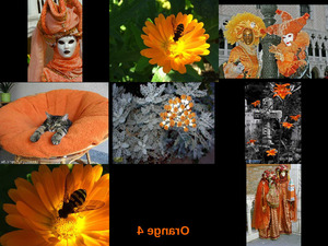 klicke hier, um die Datei herunterzuladen Orange 4