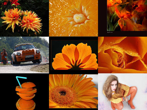 klicke hier, um die Datei herunterzuladen Orange 76