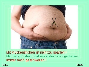 klicke hier, um die Datei herunterzuladen Mueckenstriche E
