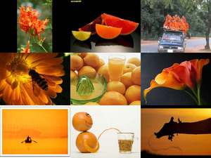 klicke hier, um die Datei herunterzuladen Orange 18