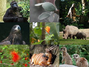 Burgers' Zoo 1 - tolle Tiere