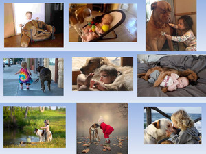 klicke hier, um die Datei herunterzuladen Hunde Babysitters E