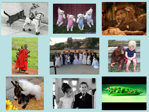 klicke hier, um die Datei herunterzuladen Photos originales