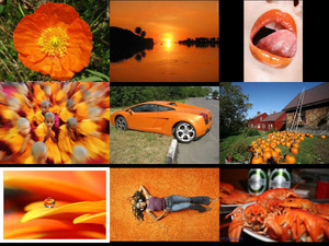 klicke hier, um die Datei herunterzuladen Orange 9