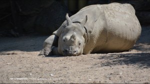 Zoo Schnbrunn in Wien