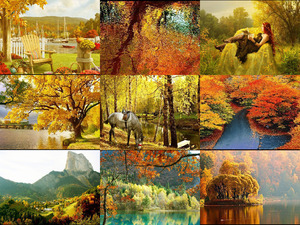 romantic autumn scenes