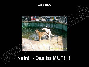 klicke hier, um die Datei herunterzuladen was ist Mut