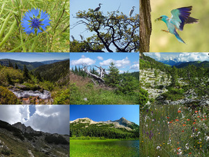 klicke hier, um die Datei herunterzuladen Beautiful Nature 97