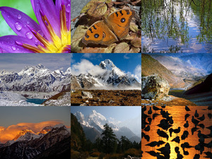 klicke hier, um die Datei herunterzuladen Beautiful Nature 68