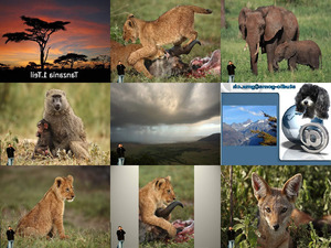 klicke hier, um die Datei herunterzuladen Tanzania 1