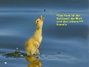 klicke hier, um die Datei herunterzuladen A228 Jesus sagt